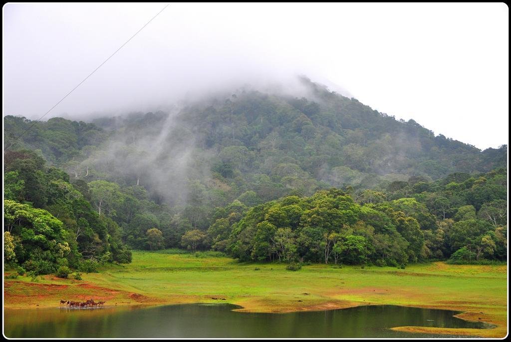 Dean Dale Cottages Thekkady Exteriér fotografie