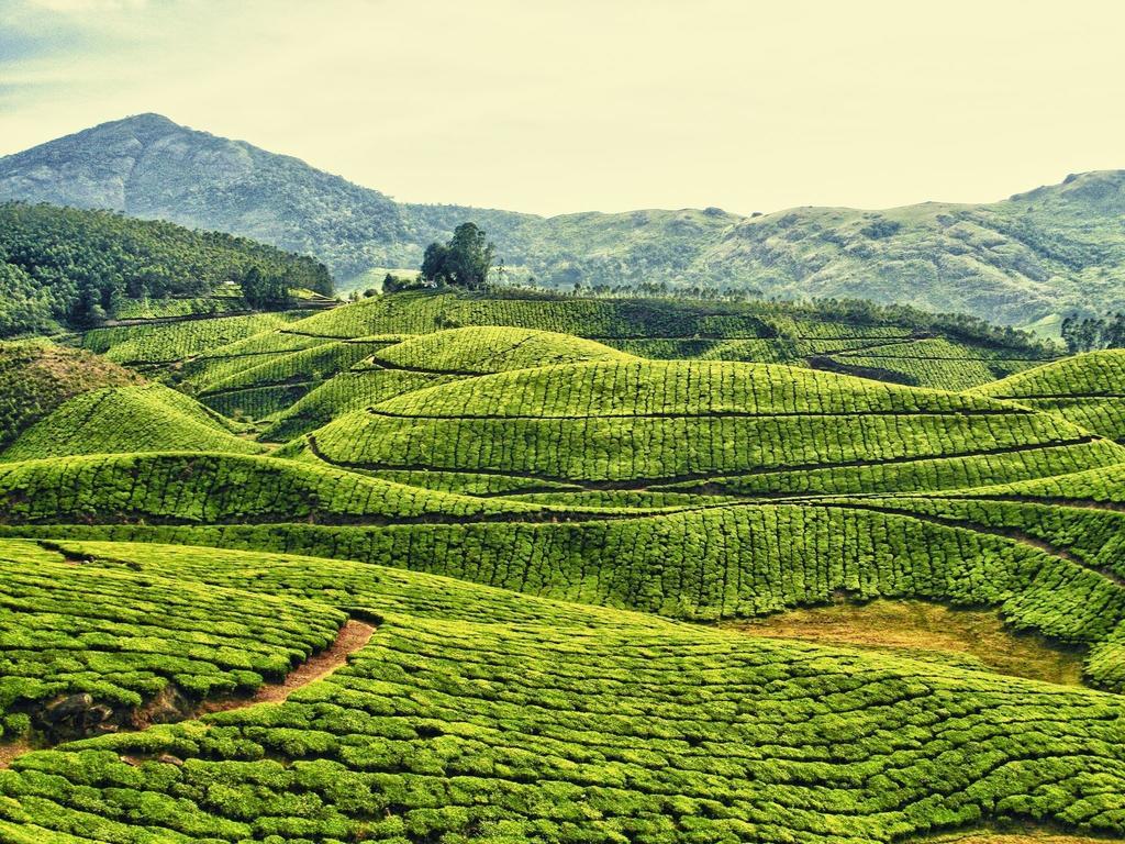 Dean Dale Cottages Thekkady Exteriér fotografie